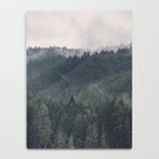 Pacific Northwest Forest - Nature Photography Notebook Gallery Image 4