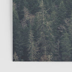 Pacific Northwest Forest - Nature Photography Poster Gallery Image 3