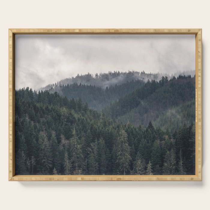 Pacific Northwest Forest - Nature Photography Serving Tray Gallery Image 1