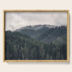 Pacific Northwest Forest - Nature Photography Serving Tray Gallery Image 1