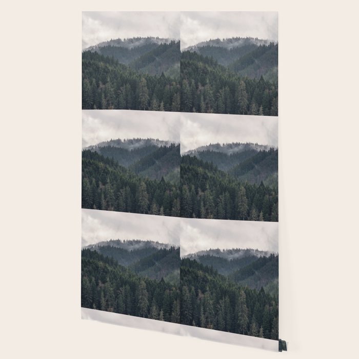 Pacific Northwest Forest - Nature Photography Wallpaper Gallery Image 2