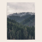 Pacific Northwest Forest - Nature Photography Poster Gallery Image 4