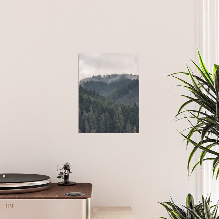 Pacific Northwest Forest - Nature Photography Poster Gallery Image 2