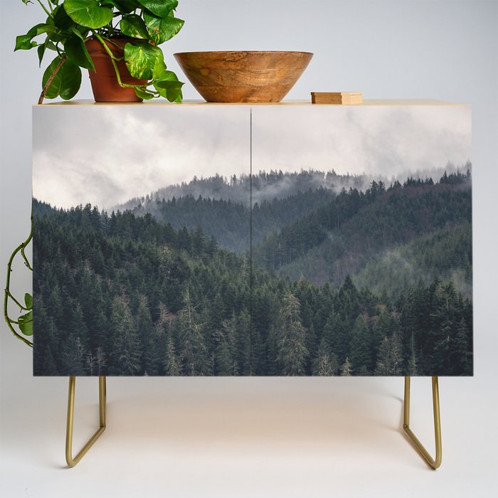 Pacific Northwest Forest - Nature Photography Credenza Gallery Image 1