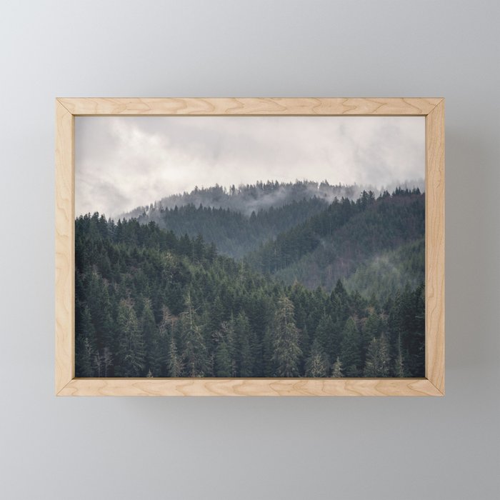 Pacific Northwest Forest - Nature Photography Mini Art Print Gallery Image 1