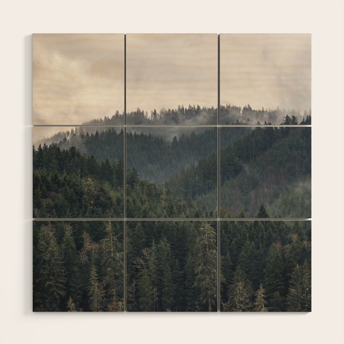 Pacific Northwest Forest - Nature Photography Wood Wall Art Gallery Image 1