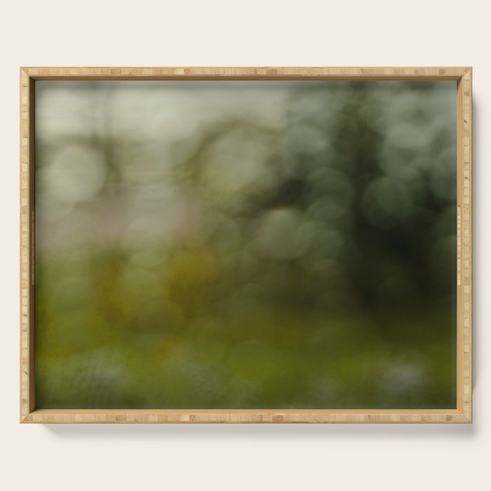 raindrop abstract photograph no. 6 - nature photography Serving Tray Gallery Image 1