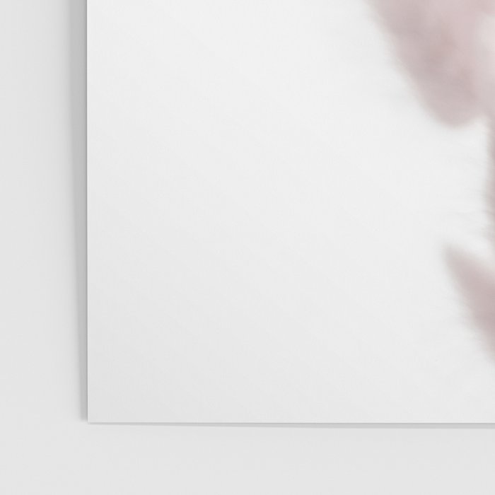 Pink Bunny Tails Poster Gallery Image 3