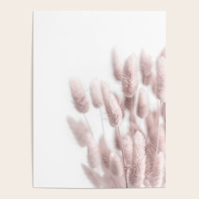 Pink Bunny Tails Poster Gallery Image 4