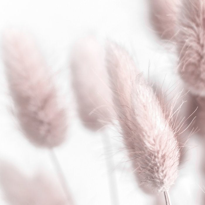 Pink Bunny Tails Coffee Mug Gallery Image 2