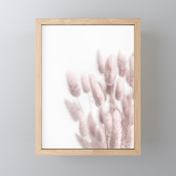 Pink Bunny Tails Mini Art Print Gallery Image 1