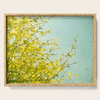 Morning Light Serving Tray Gallery Image 1