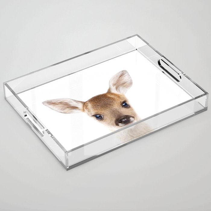 Baby Deer, Woodland Animals, Kids Art, Baby Animals Art Print By Synplus Acrylic Tray Gallery Image 1