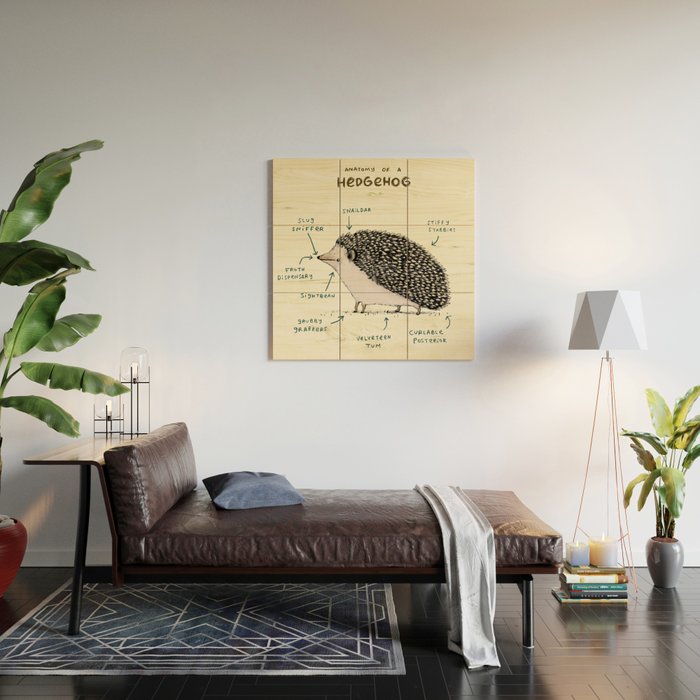 Anatomy of a Hedgehog Wood Wall Art Gallery Image 2