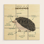 Anatomy of a Hedgehog Wood Wall Art Gallery Image 1
