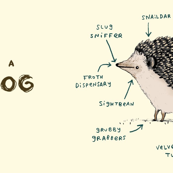 Anatomy of a Hedgehog Coffee Mug Gallery Image 2