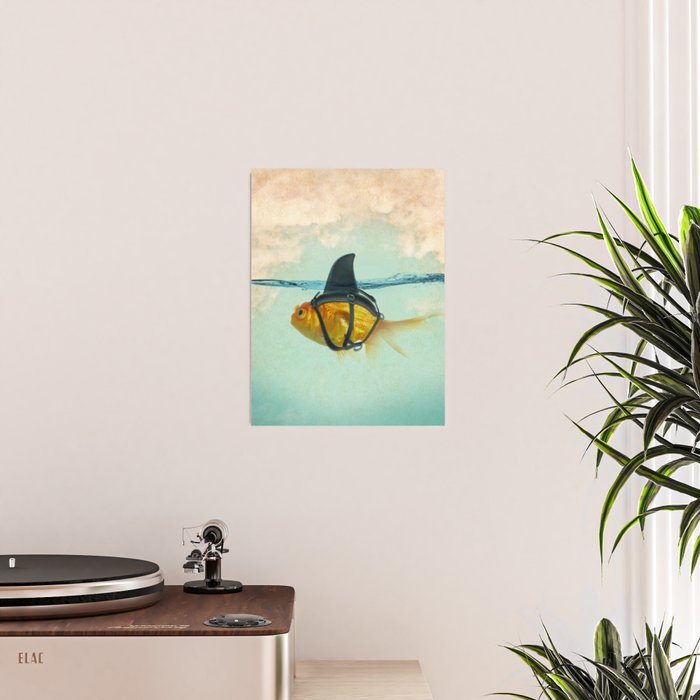 Brilliant DISGUISE - Goldfish with a Shark Fin Poster Gallery Image 2