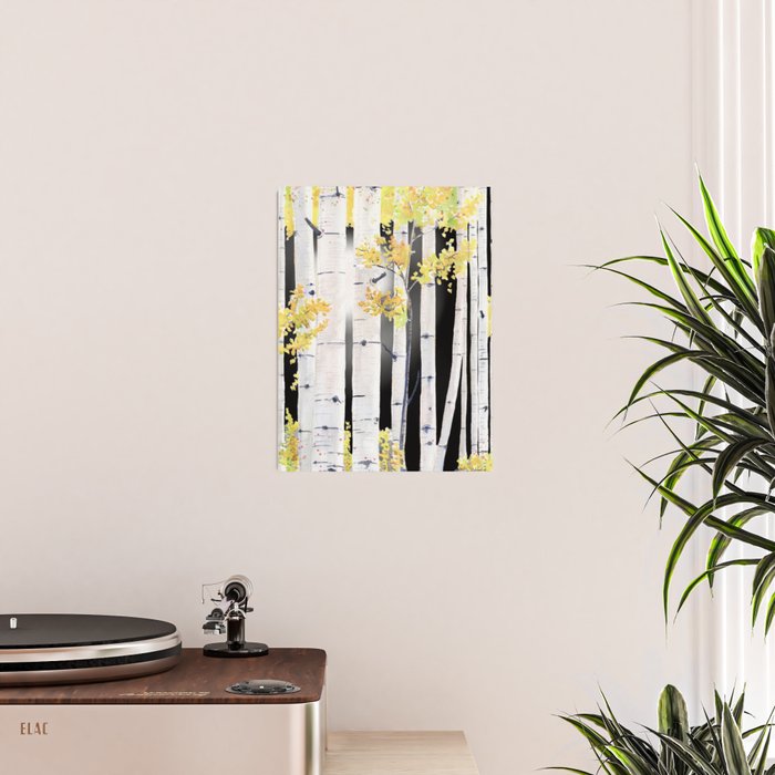 Birch Tree Poster Gallery Image 2