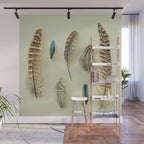 The Feather Collection Wall Mural Gallery Image 1