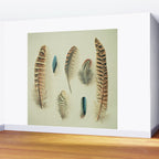 The Feather Collection Wall Mural Gallery Image 2