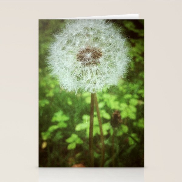 Make a Wish Stationery Card Gallery Image 1