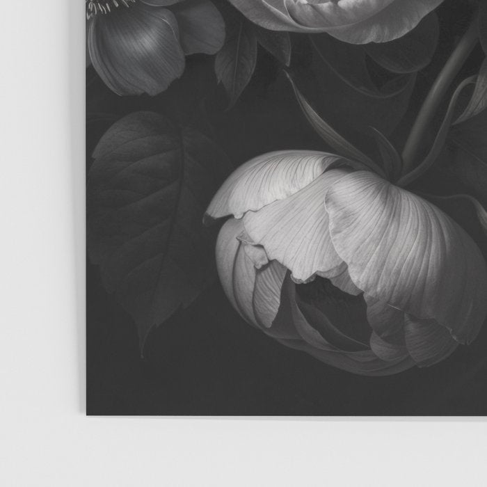 Dark Baroque Blossom Symphony Large Flower Art Poster Gallery Image 3