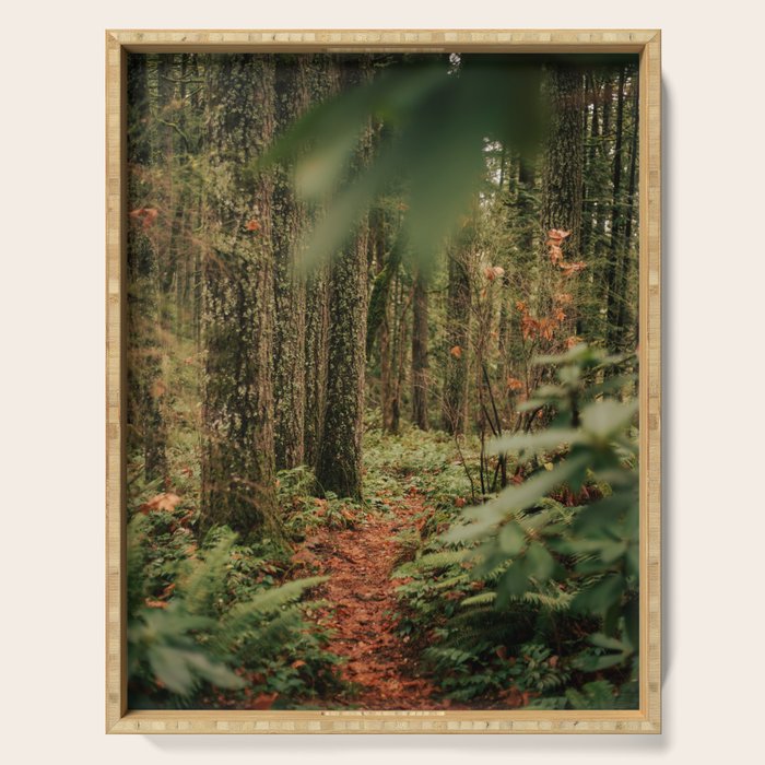Forest Trail IV Serving Tray Gallery Image 1