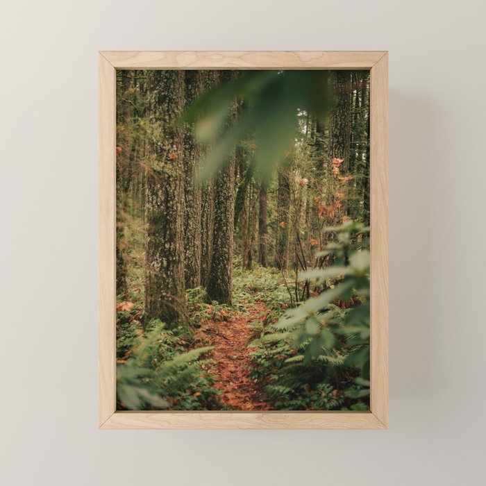 Forest Trail IV Mini Art Print Gallery Image 1