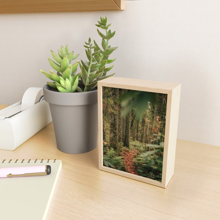 Forest Trail IV Mini Art Print Gallery Image 2