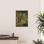 Forest Trail IV Poster Gallery Image 2
