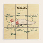 Anatomy of an Axolotl Wood Wall Art Gallery Image 1