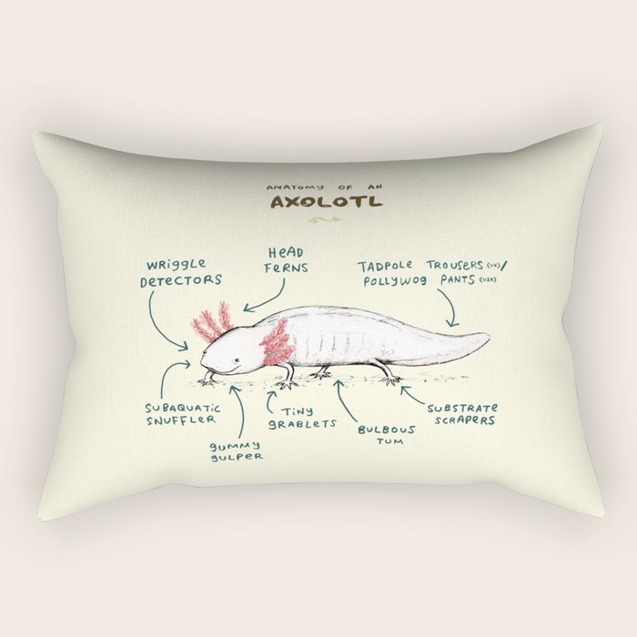 Anatomy of an Axolotl Rectangular Pillow Gallery Image 1