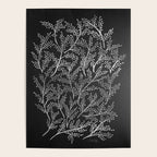 Silver Branches Poster Gallery Image 4