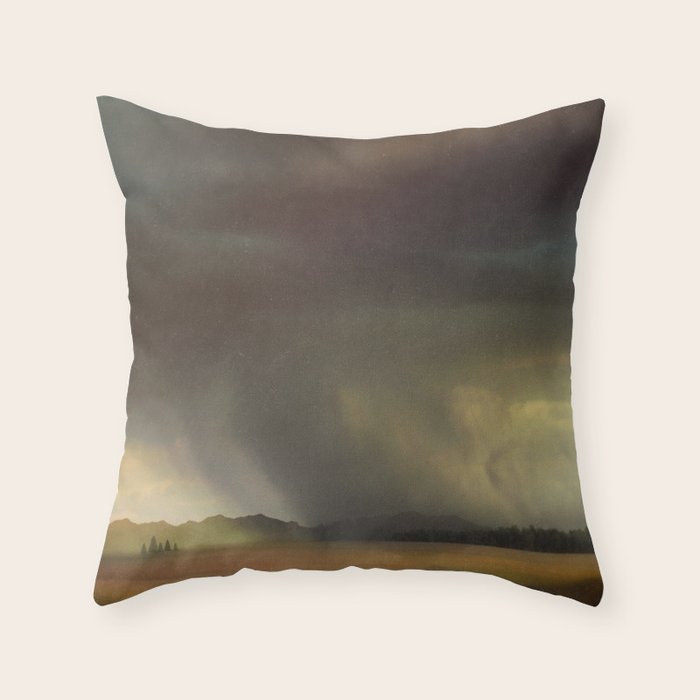 Storm Throw Pillow Gallery Image 1