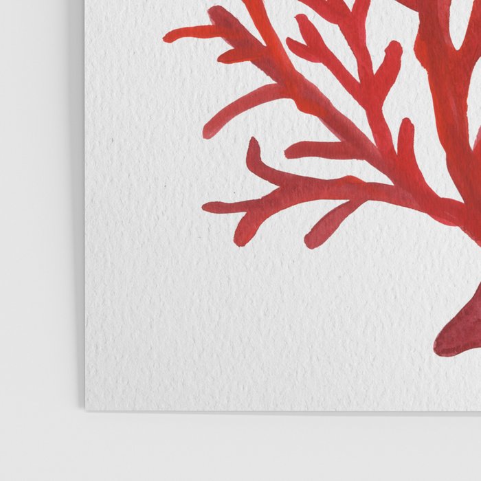 Red Coral Poster Gallery Image 3