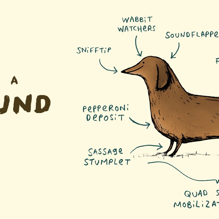 Anatomy of a Dachshund Coffee Mug Gallery Image 2