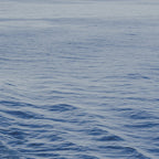 Floating on the Blue Ocean Coffee Mug Gallery Image 2