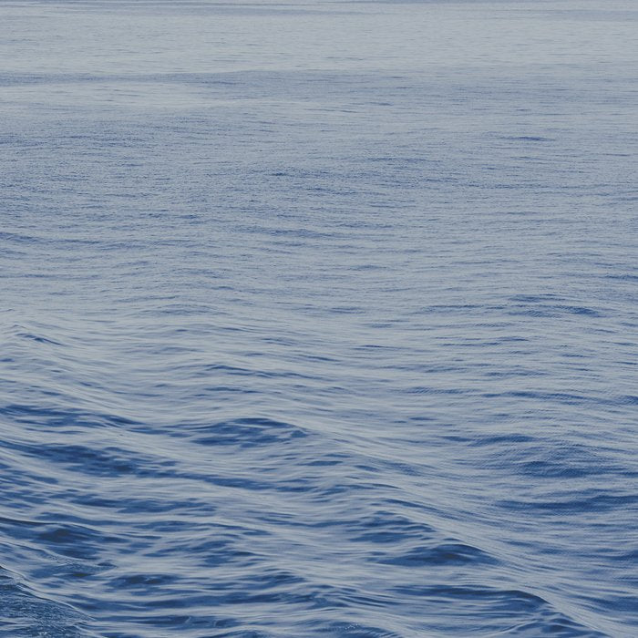 Floating on the Blue Ocean Coffee Mug Gallery Image 2