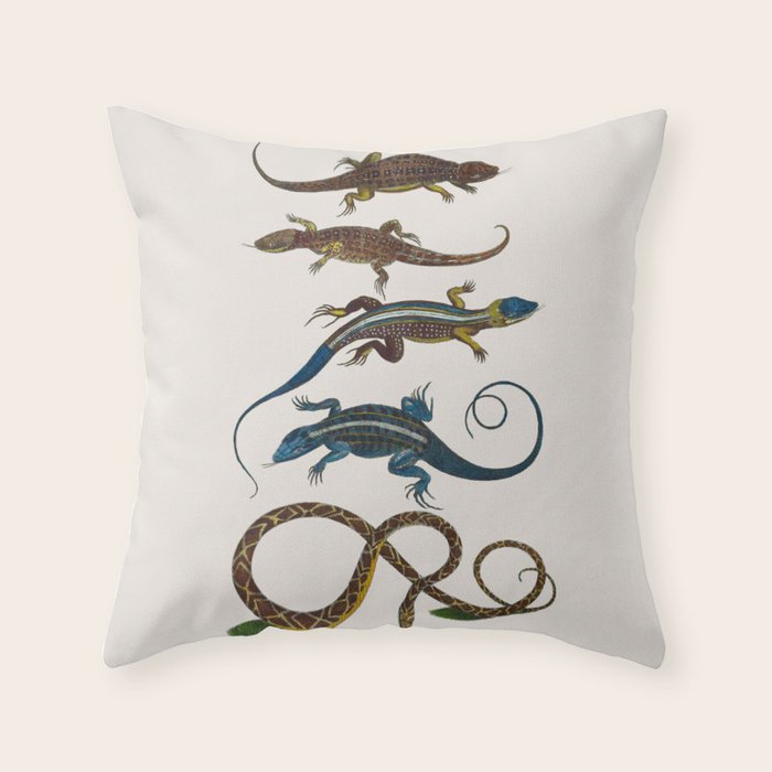 Albertus Seba Snakes And Lizards Blue Throw Pillow Gallery Image 6