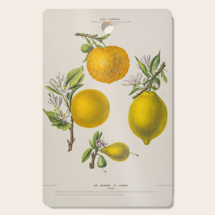 Citrus from "Flore dâAmÃ©rique" by Ãtienne Denisse, 1840s Cutting Board Gallery Image 1