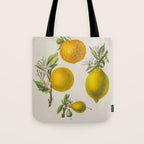 Citrus from "Flore dâAmÃ©rique" by Ãtienne Denisse, 1840s Tote Bag Gallery Image 1