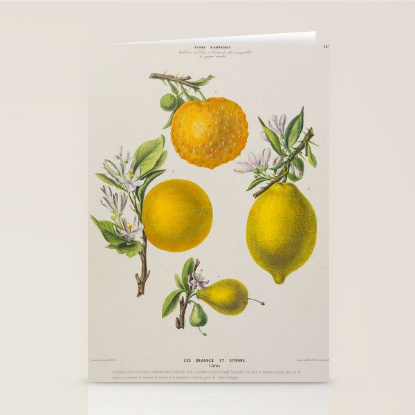 Citrus from "Flore dâAmÃ©rique" by Ãtienne Denisse, 1840s Stationery Card Gallery Image 2