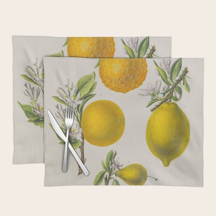 Citrus from "Flore dâAmÃ©rique" by Ãtienne Denisse, 1840s Placemat Gallery Image 1