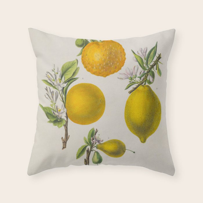 Citrus from "Flore dâAmÃ©rique" by Ãtienne Denisse, 1840s Throw Pillow Gallery Image 2