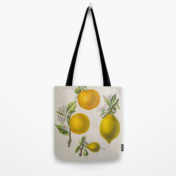 Citrus from "Flore dâAmÃ©rique" by Ãtienne Denisse, 1840s Tote Bag Gallery Image 2