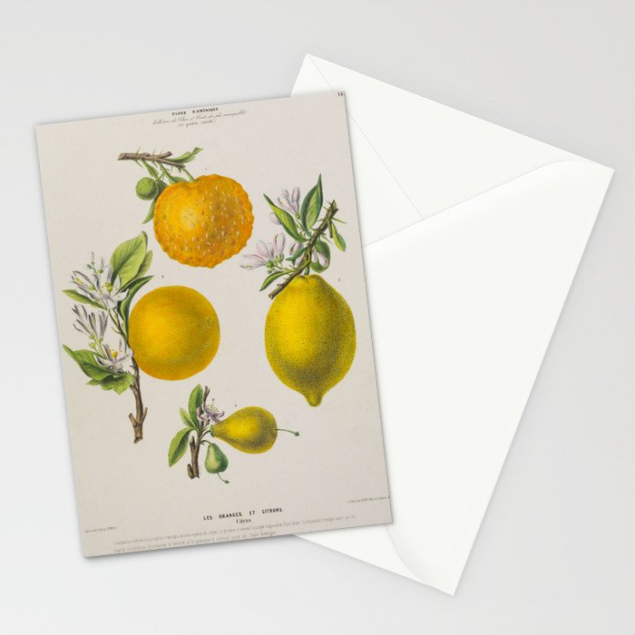 Citrus from "Flore dâAmÃ©rique" by Ãtienne Denisse, 1840s Stationery Card Gallery Image 2