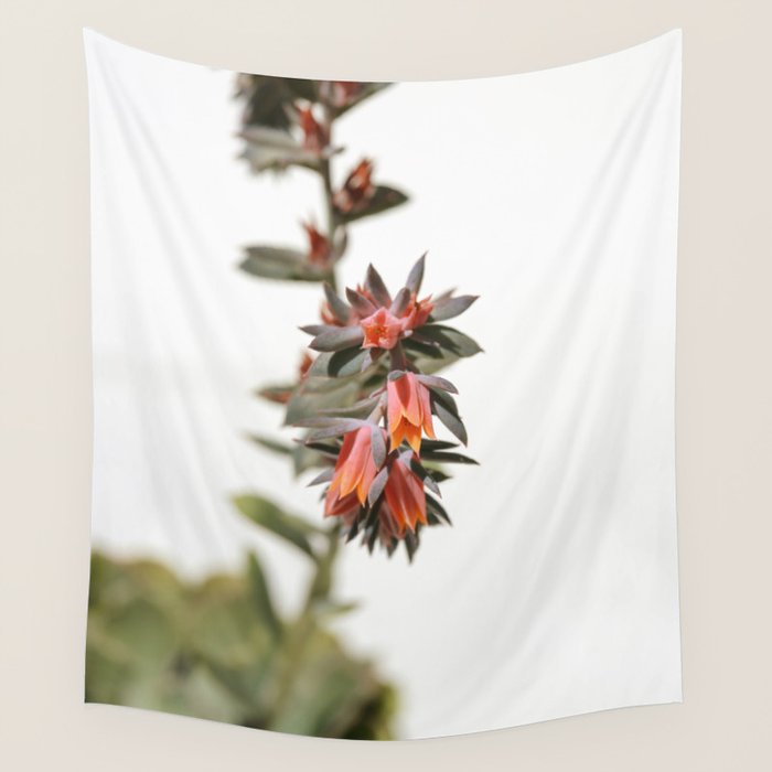 Summer Succulent #1 Wall Tapestry Gallery Image 4