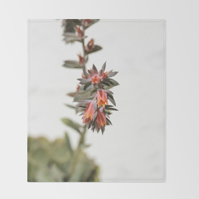 Summer Succulent #1 Throw Blanket Gallery Image 2