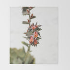 Summer Succulent #1 Throw Blanket Gallery Image 2