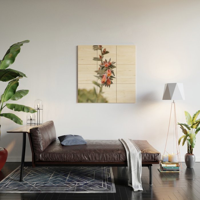 Summer Succulent #1 Wood Wall Art Gallery Image 2